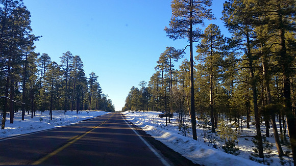 Day 4 - Northern AZ