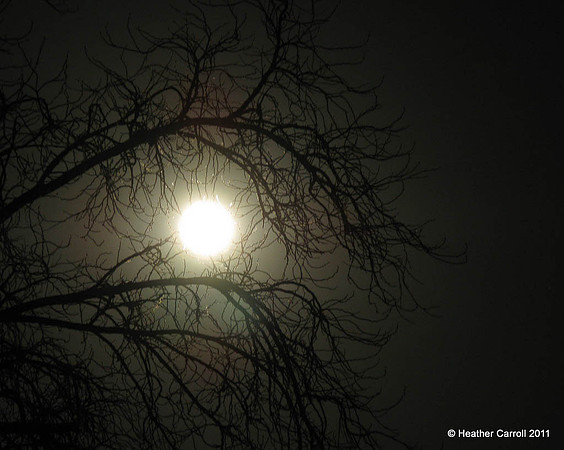 Eerie Moon