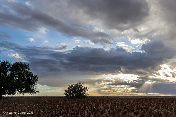 Plains Sunset