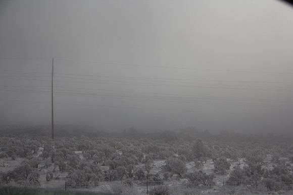 Day 4 - Crazy Fog - Limited visibility