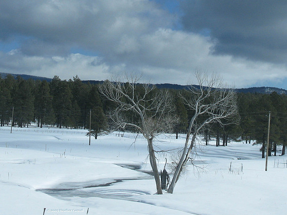 Frozen River
