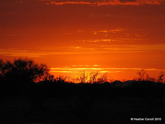 Desert Sunset