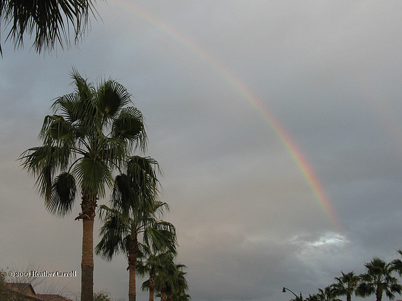 Rainbow