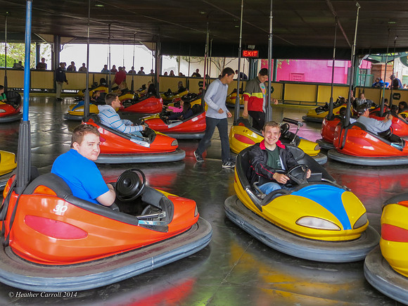bumper cars-3