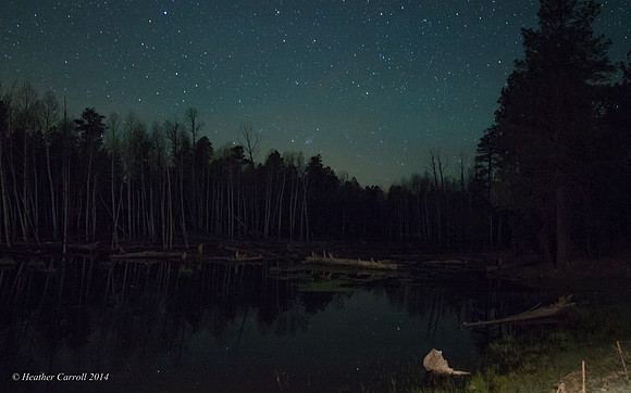 Stars over Pond