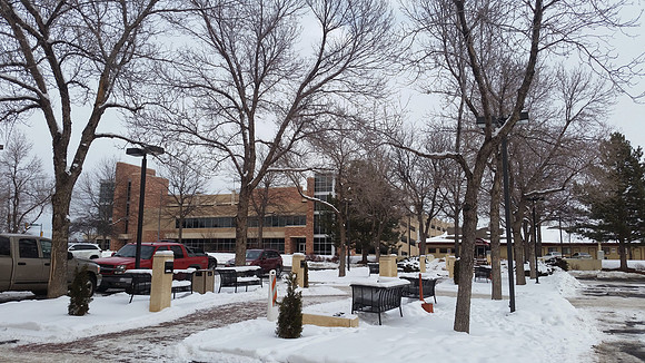 Day 3 - Snowy Streets