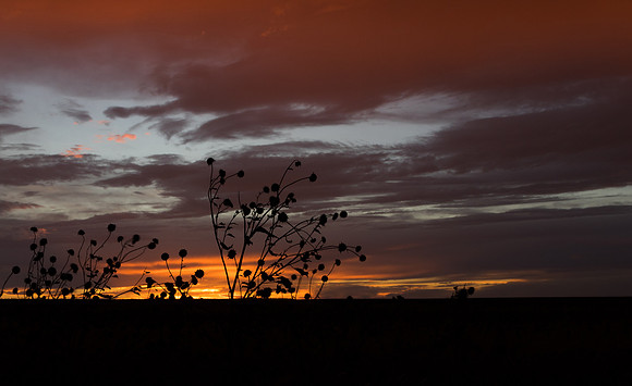 Burlington Sunset-13