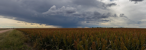 FlemmingPano