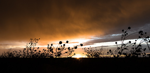 Burlington Sunset-9