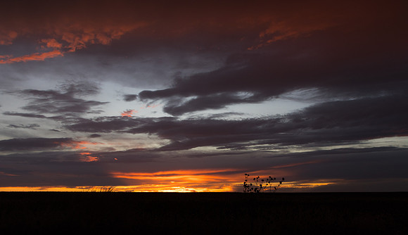 Burlington Sunset-14