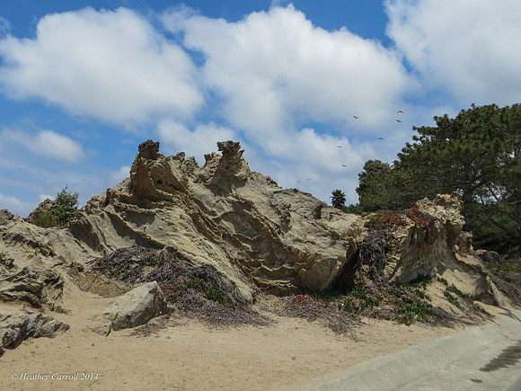 Cool Sand formations
