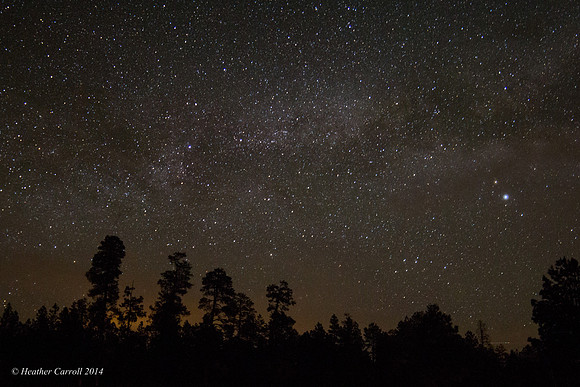 MIlky Way above trees