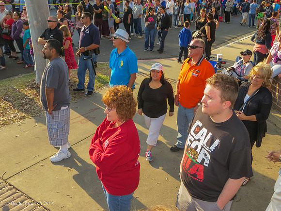 strawberry festival-3