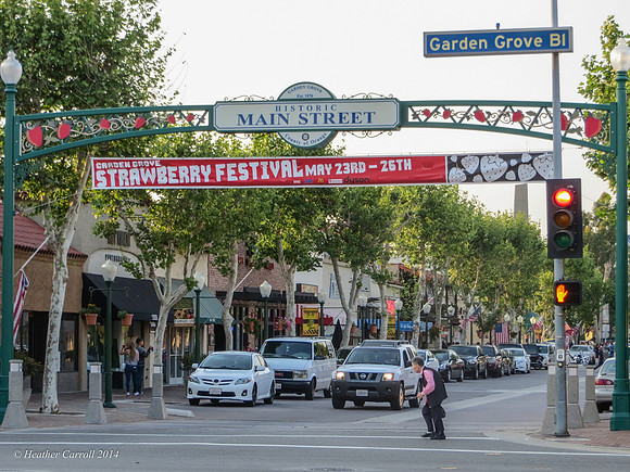 strawberry festival-8