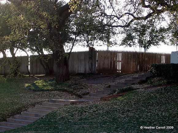 Grassy Knoll - Dallas