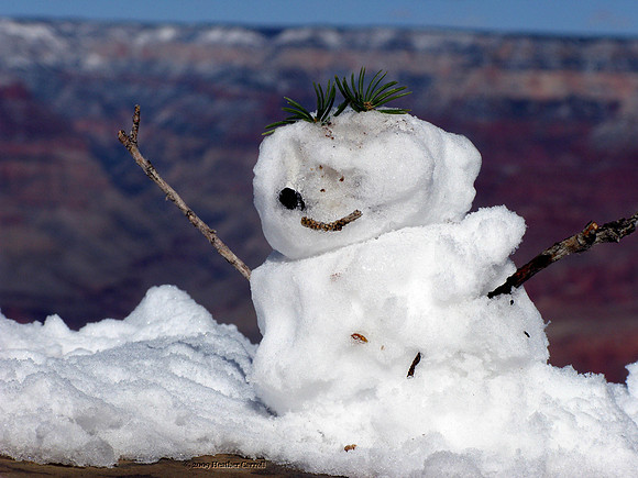 Littlest Snowman