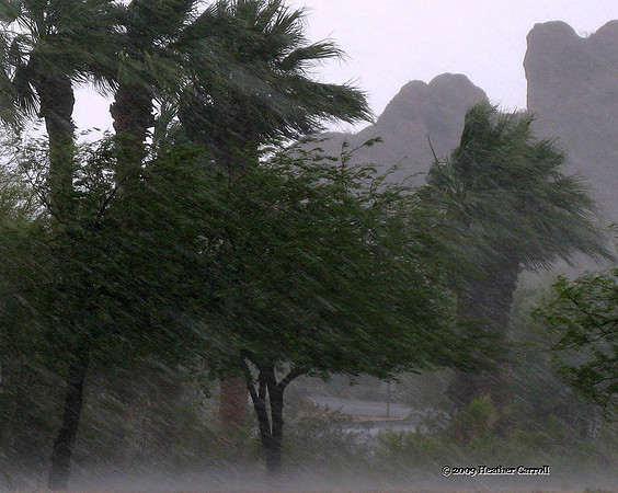 Arizona Monsoon