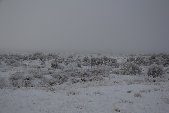 Day 4 - Crazy Fog - Limited visibility-2