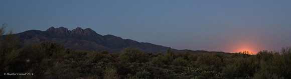 Rose Moon Rising