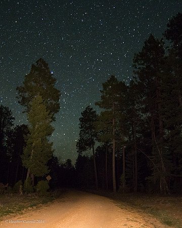 Forest Road