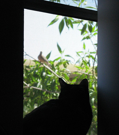 Just out of reach