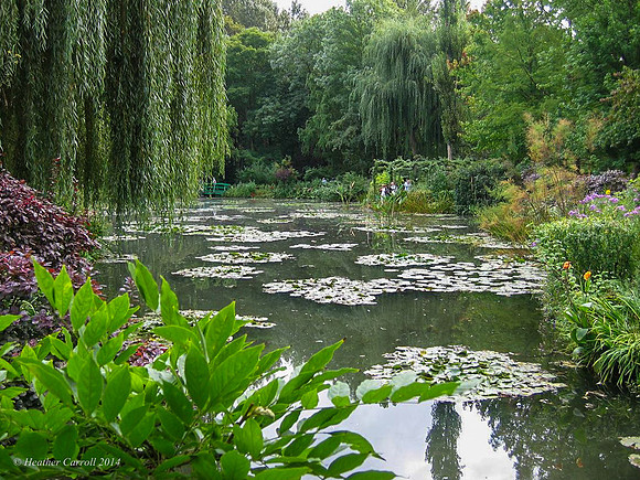 Monet's Water Lily Pond