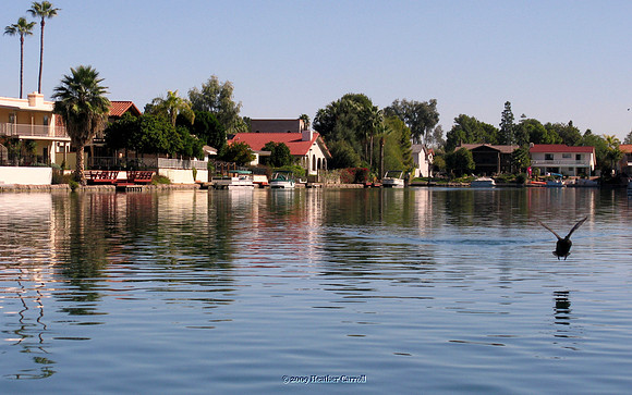 Lakeside homes