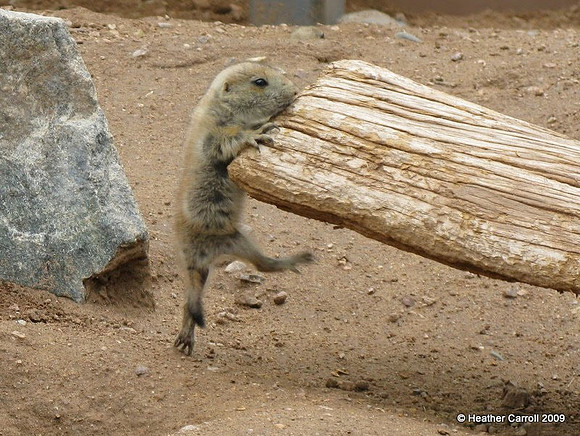 Hang in There