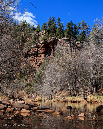 View from the Creek
