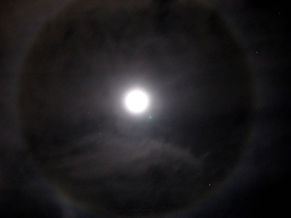 Moon Ring