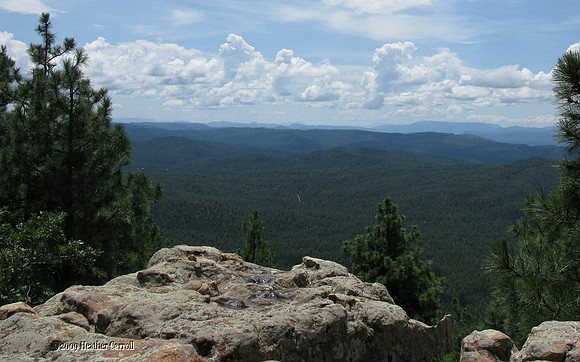 Mogollon Rim View